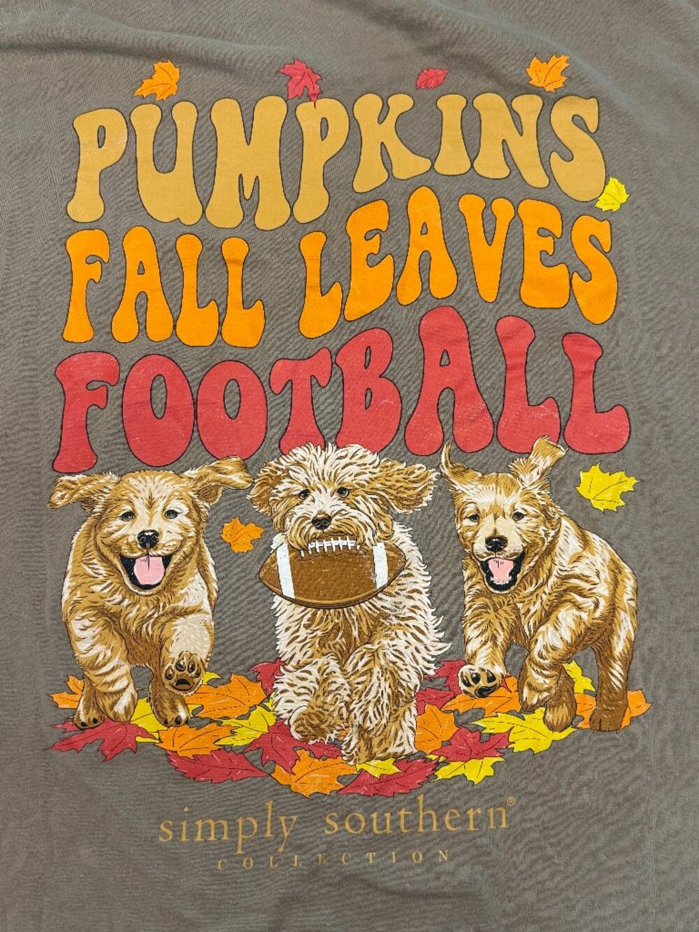 Simply Southern Womens Large Fall Football Dogs Long Sleeve Tee Cottagecore 4239